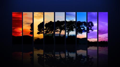 Spectrum Of A Tree