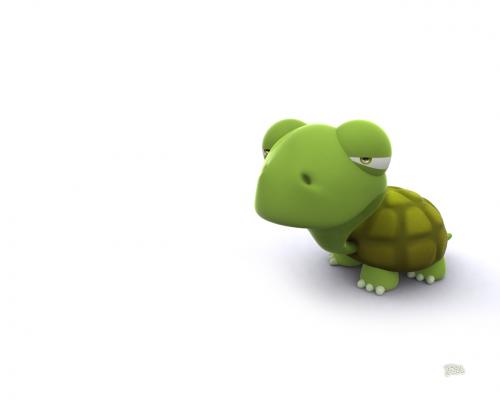 Osamelá korytnačka