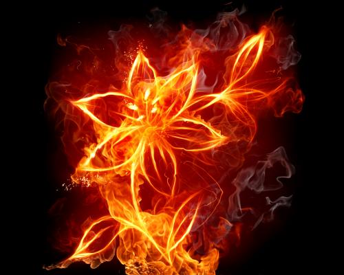 Ohnivý kvet 2