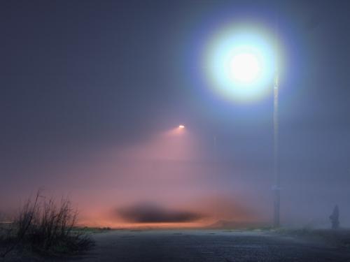 Lampa v hmle